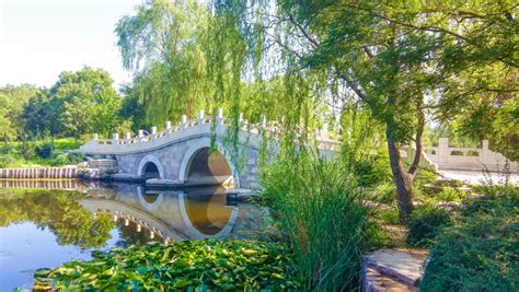 如何去北京植物園？在探讨如何到达这个充满绿色与自然气息的地方时，我们不禁思考：是不是每个人都应该在繁忙的都市生活中找到一片属于自己的绿洲？