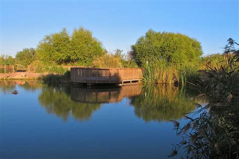 新都溼地公園在哪裏：多維度的探索與體驗